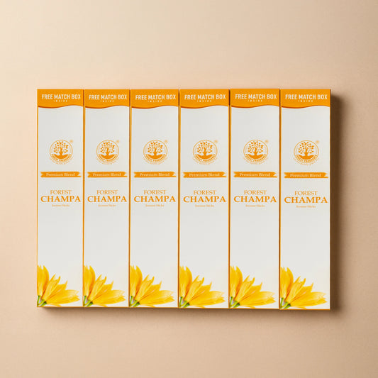 CHAMPA Economy Pack of 6