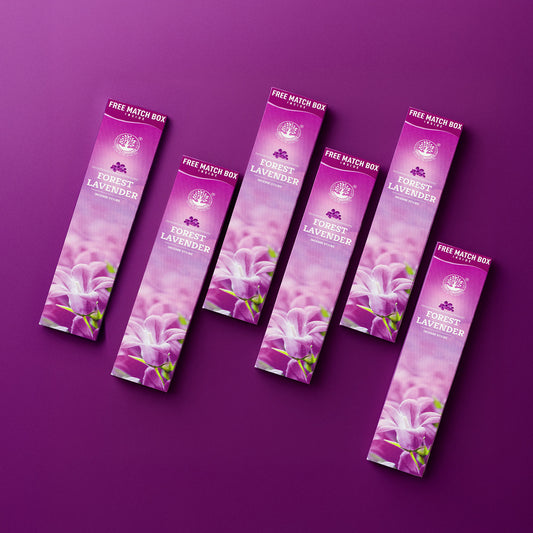 LAVENDER Economy Pack of 6