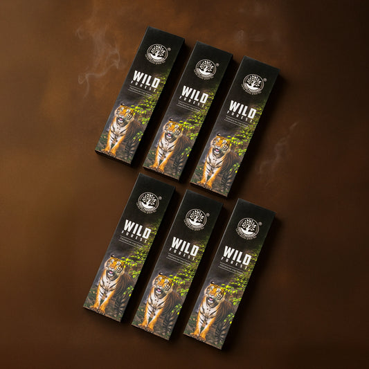 WILD FOREST Economy Pack of 6