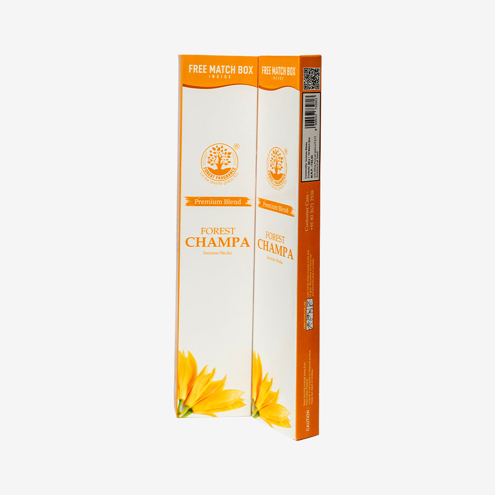 CHAMPA Economy Pack of 6