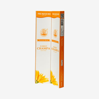 CHAMPA Economy Pack of 6