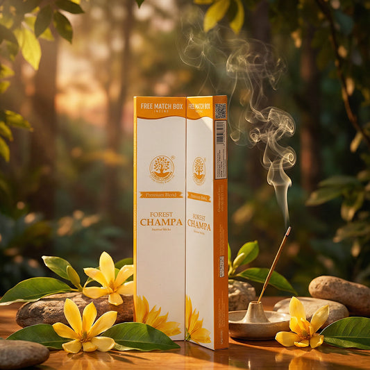 CHAMPA Economy Pack of 6