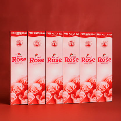 ROSE Economy Pack of 6
