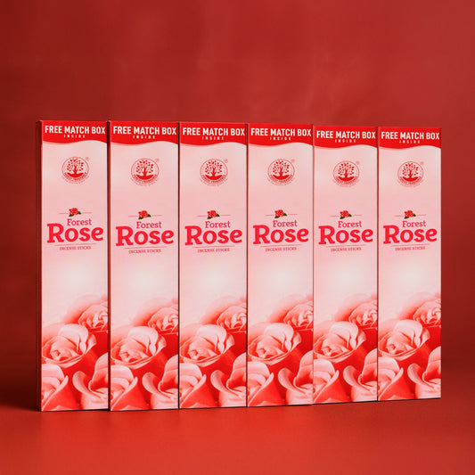 ROSE Economy Pack of 6