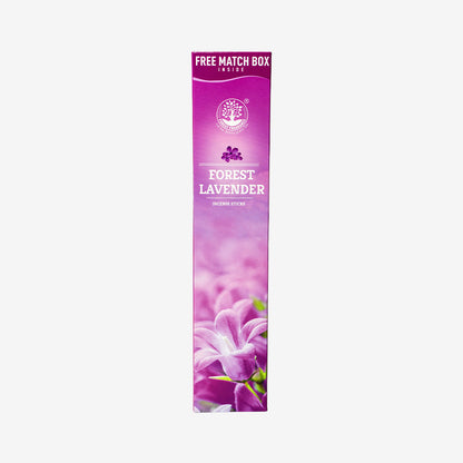 LAVENDER  Economy Pack of 6