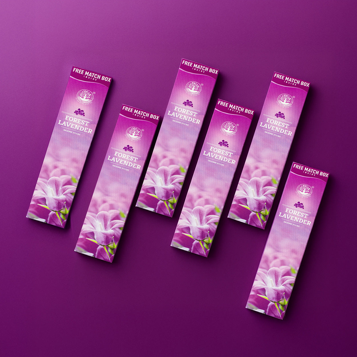 LAVENDER  Economy Pack of 6