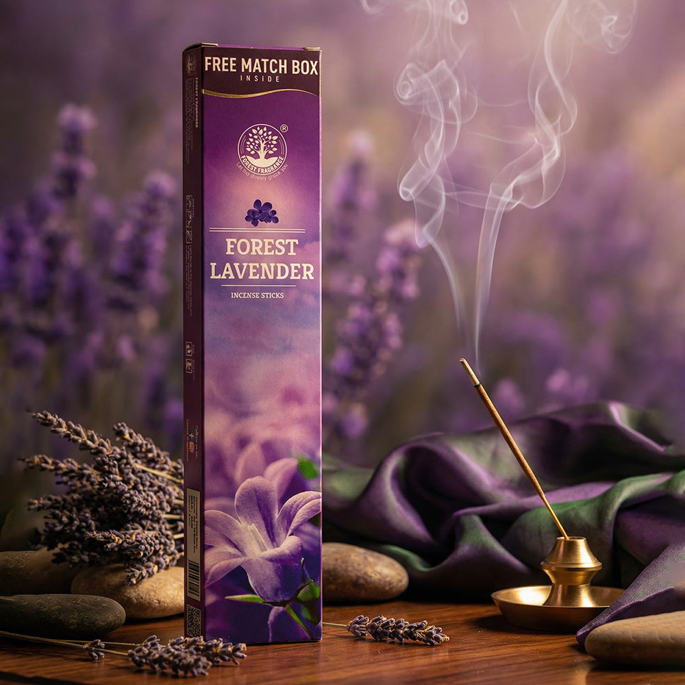 LAVENDER  Economy Pack of 6
