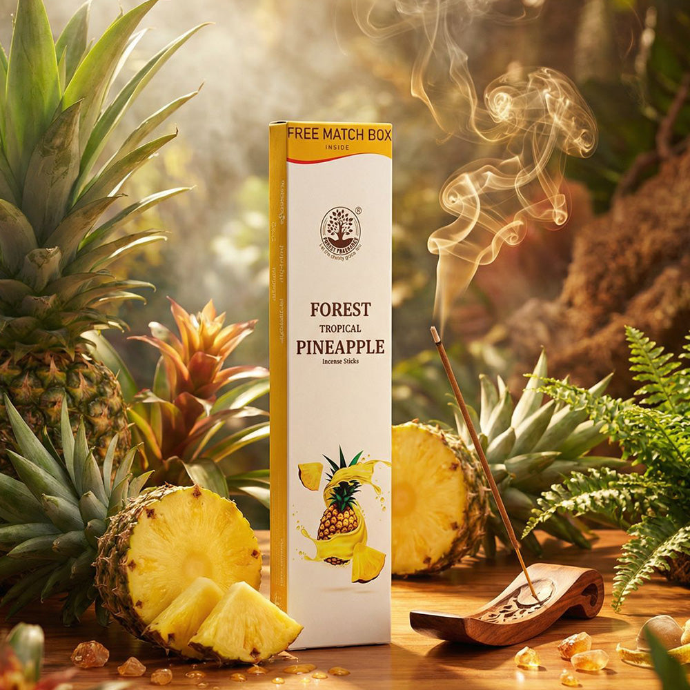 PINEAPPLE  Economy Pack of 6