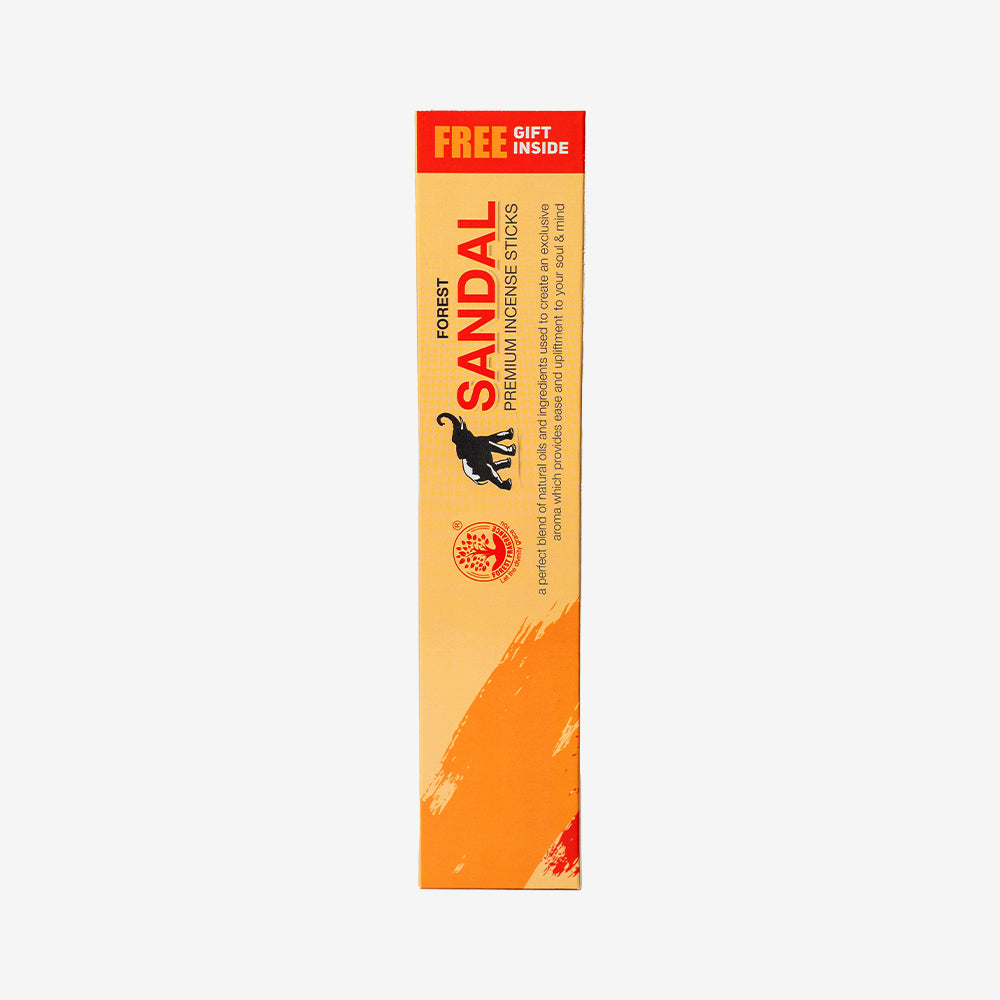 SANDAL Economy Pack of 6